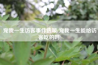 宠我一生访客事件选项(宠我一生能给访客吃的吗)