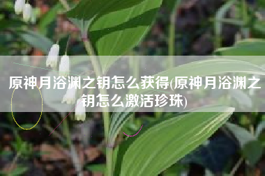 原神月浴渊之钥怎么获得(原神月浴渊之钥怎么激活珍珠)
