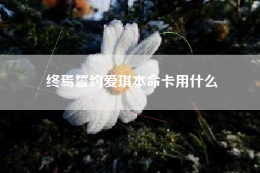 终焉誓约爱琪本命卡用什么