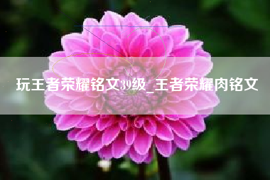 玩王者荣耀铭文39级_王者荣耀肉铭文