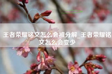 王者荣耀铭文怎么会被分解_王者荣耀铭文怎么会变少