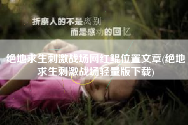 绝地求生刺激战场网红鲲位置文章(绝地求生刺激战场轻量版下载)