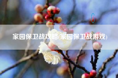 家园保卫战攻略(家园保卫战游戏)