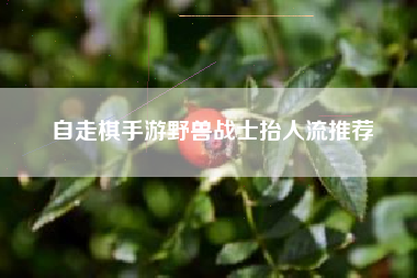 自走棋手游野兽战士抬人流推荐