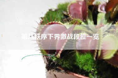 第八秩序下界激战段位一览