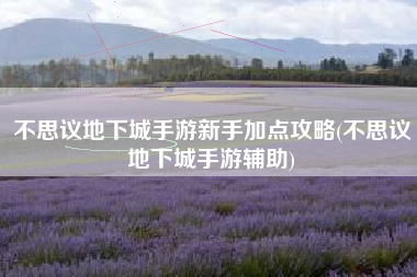 不思议地下城手游新手加点攻略(不思议地下城手游辅助)