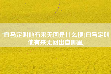 白马定叫他有来无回是什么梗(白马定叫他有来无回出自哪里)