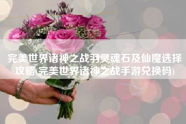 完美世界诸神之战羽灵魂石及仙魔选择攻略(完美世界诸神之战手游兑换码)