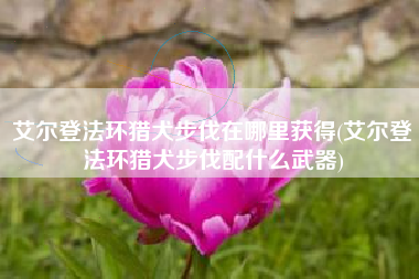 艾尔登法环猎犬步伐在哪里获得(艾尔登法环猎犬步伐配什么武器)