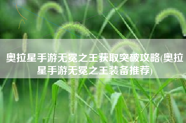 奥拉星手游无冕之王获取突破攻略(奥拉星手游无冕之王装备推荐)