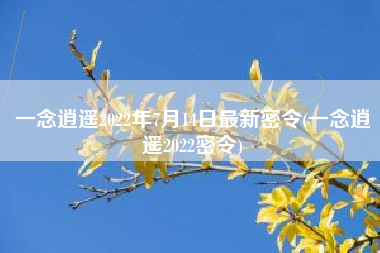 一念逍遥2022年7月14日最新密令(一念逍遥2022密令)