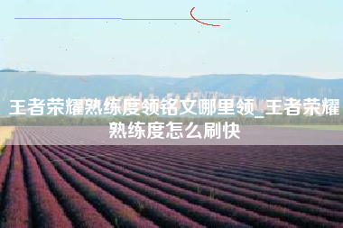 王者荣耀熟练度领铭文哪里领_王者荣耀熟练度怎么刷快