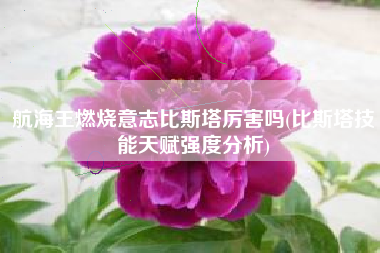 航海王燃烧意志比斯塔厉害吗(比斯塔技能天赋强度分析)