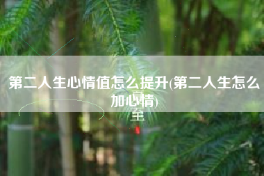 第二人生心情值怎么提升(第二人生怎么加心情)