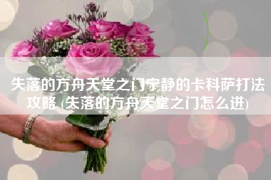 失落的方舟天堂之门宁静的卡科萨打法攻略 (失落的方舟天堂之门怎么进)