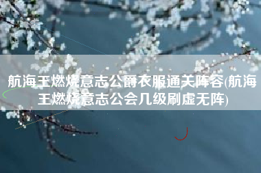 航海王燃烧意志公爵衣服通关阵容(航海王燃烧意志公会几级刷虚无阵)