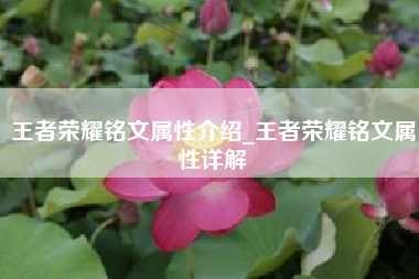 王者荣耀铭文属性介绍_王者荣耀铭文属性详解