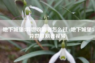 地下城堡3异世收割者怎么过 (地下城堡3异世收割者视频)