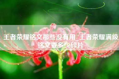 王者荣耀铭文那些没有用_王者荣耀满级铭文要多少碎片