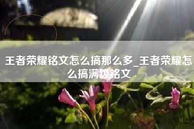 王者荣耀铭文怎么搞那么多_王者荣耀怎么搞满级铭文