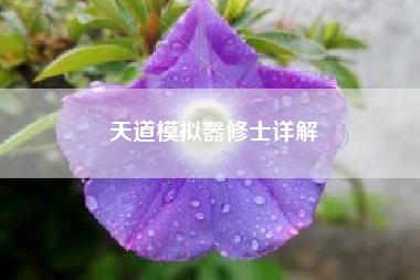 天道模拟器修士详解