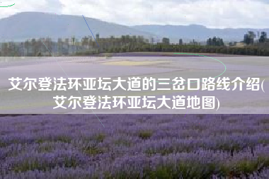 艾尔登法环亚坛大道的三岔口路线介绍(艾尔登法环亚坛大道地图)