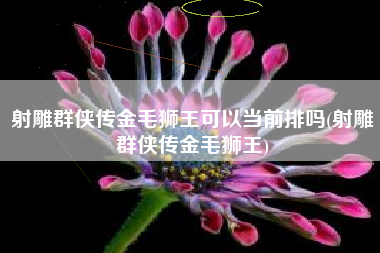 射雕群侠传金毛狮王可以当前排吗(射雕群侠传金毛狮王)
