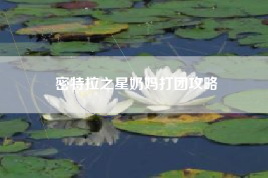 密特拉之星奶妈打团攻略
