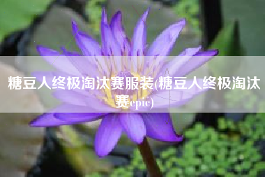 糖豆人终极淘汰赛服装(糖豆人终极淘汰赛epic)