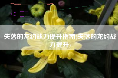 失落的龙约战力提升指南(失落的龙约战力提升)