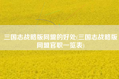 三国志战略版同盟的好处(三国志战略版同盟官职一览表)
