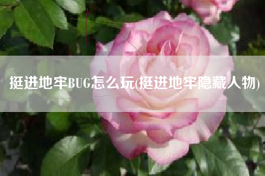 挺进地牢BUG怎么玩(挺进地牢隐藏人物)