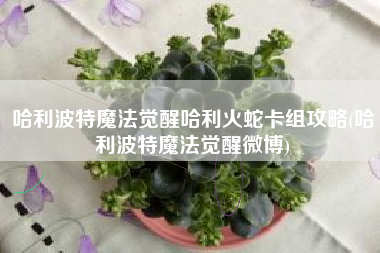 哈利波特魔法觉醒哈利火蛇卡组攻略(哈利波特魔法觉醒微博)