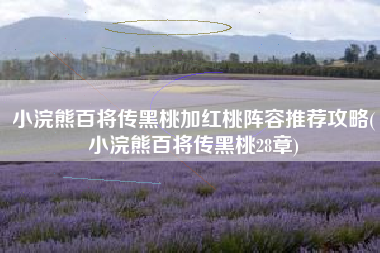 小浣熊百将传黑桃加红桃阵容推荐攻略(小浣熊百将传黑桃28章)