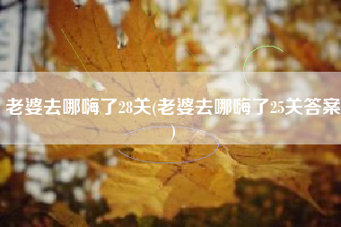 老婆去哪嗨了28关(老婆去哪嗨了25关答案)