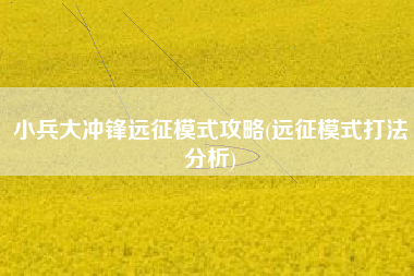 小兵大冲锋远征模式攻略(远征模式打法分析)
