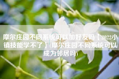 摩尔庄园不同系统可以加好友吗【2022小镇技能学不了】(摩尔庄园不同系统可以成为邻居吗)