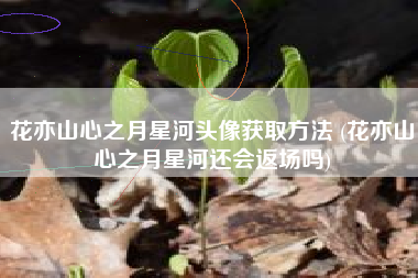 花亦山心之月星河头像获取方法 (花亦山心之月星河还会返场吗)