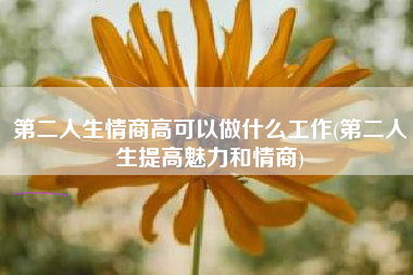 第二人生情商高可以做什么工作(第二人生提高魅力和情商)