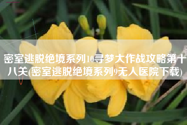 密室逃脱绝境系列10寻梦大作战攻略第十八关(密室逃脱绝境系列9无人医院下载)