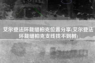 艾尔登法环裁缝柏克位置分享(艾尔登法环裁缝柏克支线找不到树)
