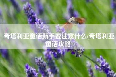 奇塔利亚童话新手要注意什么(奇塔利亚童话攻略)