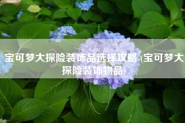 宝可梦大探险装饰品选择攻略 (宝可梦大探险装饰物品)
