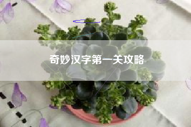 奇妙汉字第一关攻略