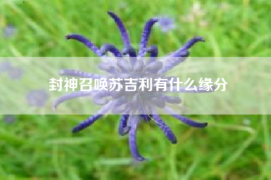 封神召唤苏吉利有什么缘分