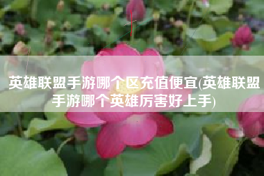英雄联盟手游哪个区充值便宜(英雄联盟手游哪个英雄厉害好上手)