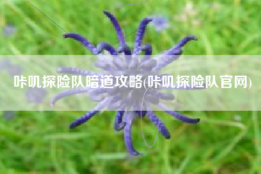 咔叽探险队暗道攻略(咔叽探险队官网)