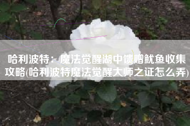 哈利波特：魔法觉醒湖中馈赠鱿鱼收集攻略(哈利波特魔法觉醒大师之证怎么弄)