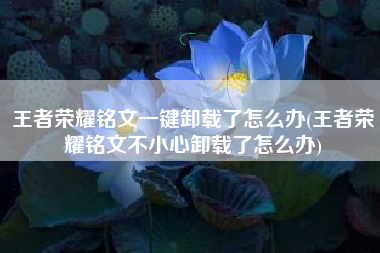 王者荣耀铭文一键卸载了怎么办(王者荣耀铭文不小心卸载了怎么办)