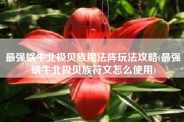 最强蜗牛北极贝族魔法阵玩法攻略(最强蜗牛北极贝族符文怎么使用)